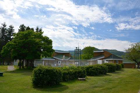 Piscine Camping Municipal